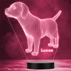Geometric Dog 3D Personalised Gift Colour Changing LED Lamp Night Light