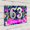 Blue Pink Kingfisher Birds 3D Acrylic House Address Sign Door Number Plaque