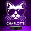 Cool Cat Sunglasses Kids Tv Show Personalised Gift Colour Changing Night Light