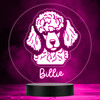 Poodle Dog Pet Silhouette Colour Changing Personalised Gift LED Lamp Night Light
