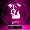 Boxer Dog Pet Silhouette Colour Changing Personalised Gift LED Lamp Night Light