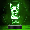 Bull Terrier Dog Pet Multicolour Personalised Gift Lamp Night Light