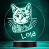 Cat Pet Line Drawing Multicolour Personalised Gift LED Lamp Night Light