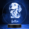 Golden Retriever Dog Pet Multicolour Personalised Gift LED Lamp Night Light