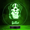 Bernese Mountain Dog Pet Multicolour Personalised Gift LED Lamp Night Light