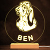 Basset Hound Dog Pet Silhouette Warm White Lamp Personalised Gift Night Light
