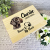 Shorthaired Pointer Dog Paw Heart Pet Memorial Personalised Wooden Keepsake Box