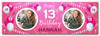 Personalised Party Banner For 13th Birthday With Photo Female Pink Balloons Personalised Party Banner For 13th Birthday With Photo Female Pink Balloons