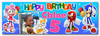 Personalised Party Banner For Kids Birthday Girls Sonic The Hedgehog Photo