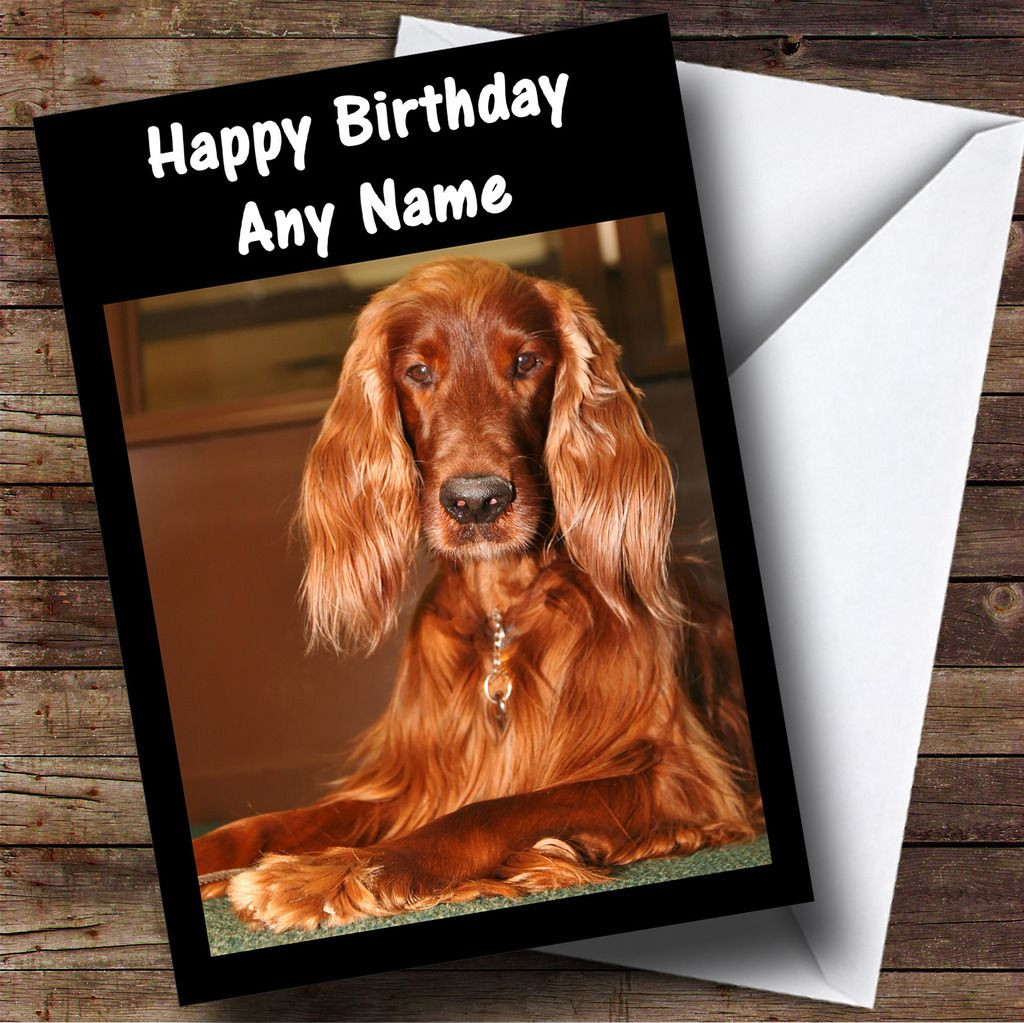 Irish Setter Personalised Birthday Card The Card Zoo