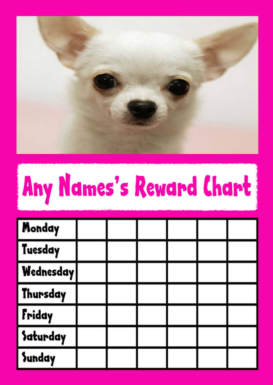 Chihuahua Dog Years Chart