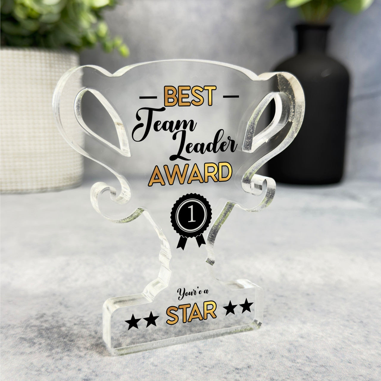 Gift For Best Team Leader No Rosette Trophy Keepsake Plaque