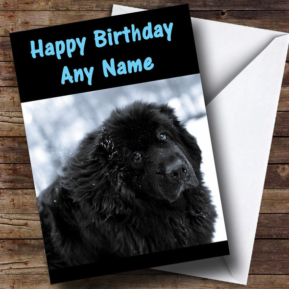 New Foundland Personalised Birthday Card
