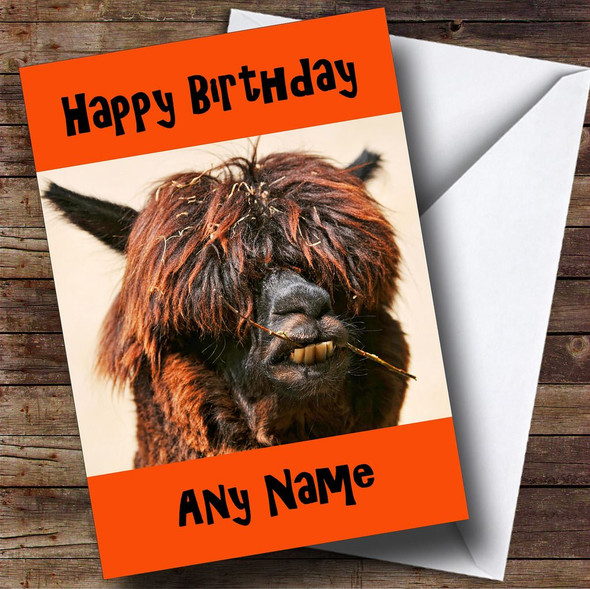 Funny Scruffy Llama Personalised Birthday Card