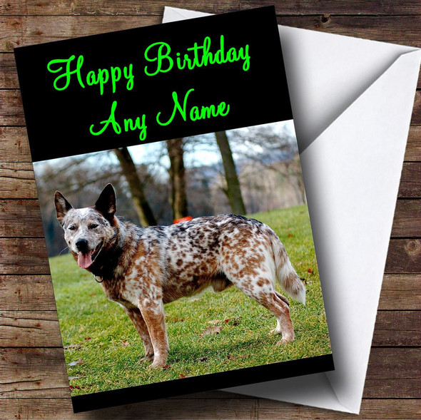 Australian Cattle Dog Personalised Birthday Card