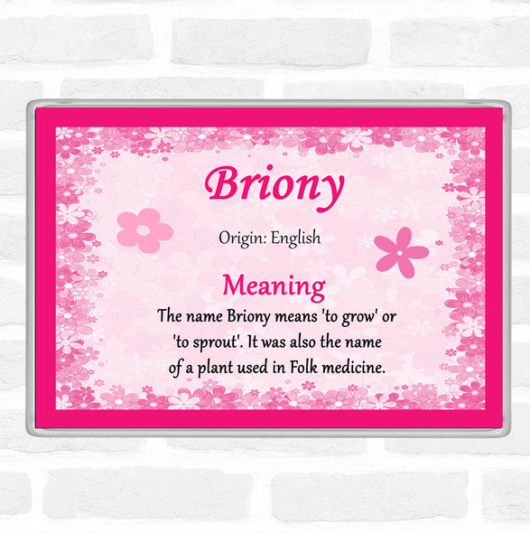 Briony Name Meaning Jumbo Fridge Magnet Pink