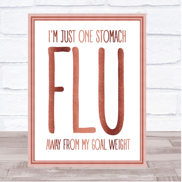 Rose Gold Funny One Stomach Flue Goal Weight Diet Quote Wall Art Print