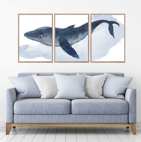 Humpback Whale Watercolour Set Of 3 Wall Art Home Decor Picture Framed Prints