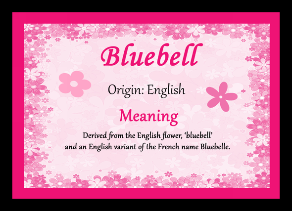 Bluebell Personalised Name Meaning Placemat