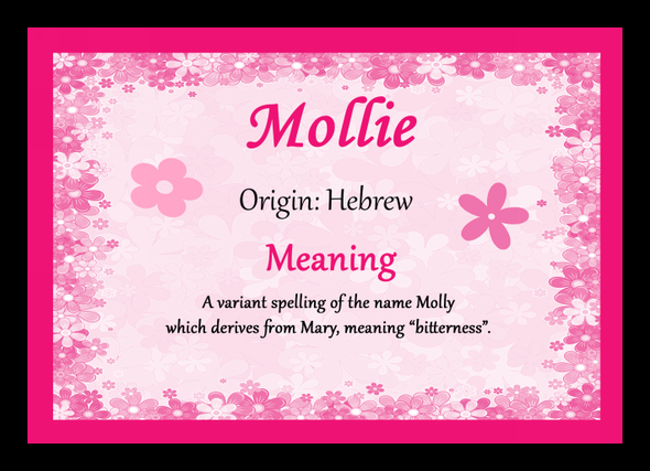 Mollie Personalised Name Meaning Placemat