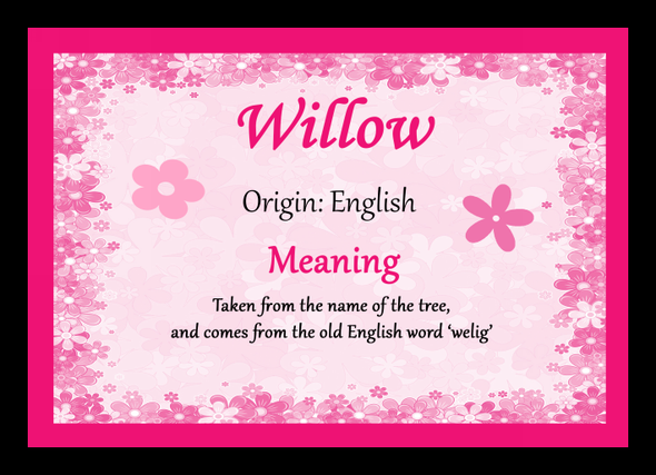 Willow Personalised Name Meaning Placemat