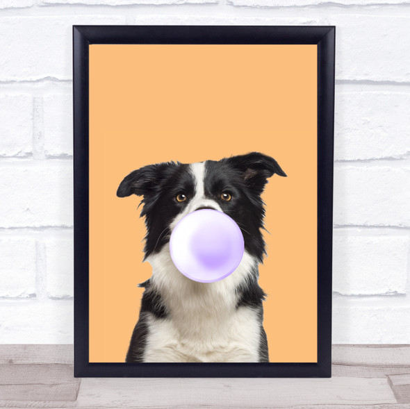 Border Collie Colour Dog Orange Purple Gum Wall Art Print