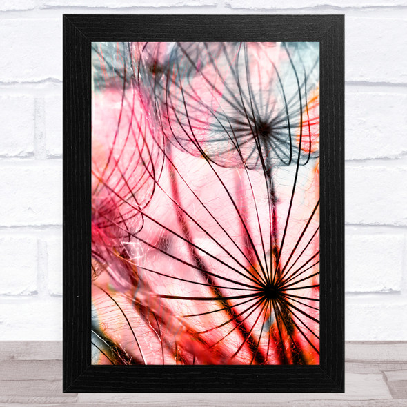 Dandelion Flowers Close Up Red Home Wall Art Print