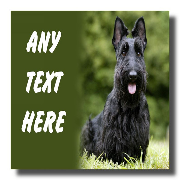 Scottish Terrier Dog Personalised Drinks Mat Coaster