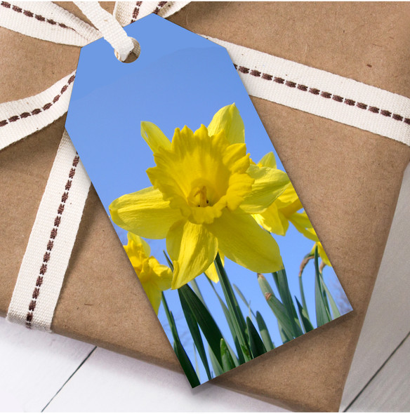 Daffodil Blue Sky Birthday Present Favor Gift Tags