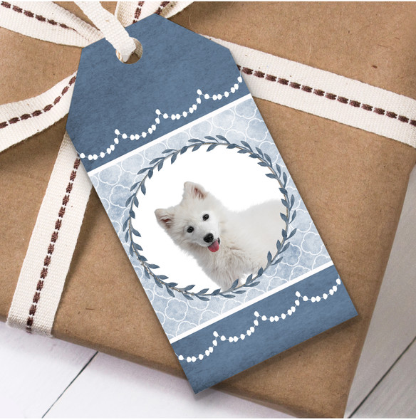 Samoyed Dog Blue Birthday Present Favor Gift Tags