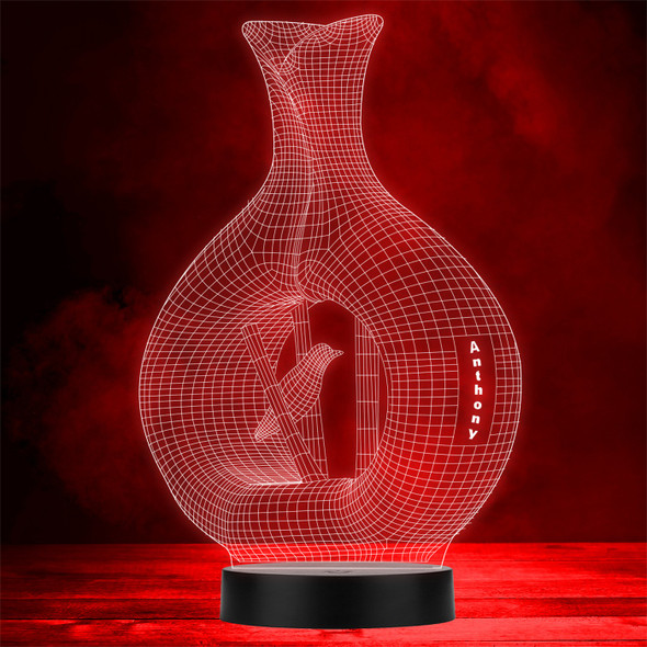 3D Style Bird & Vase Personalised Gift Colour Changing LED Lamp Night Light