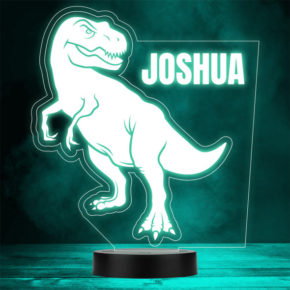 Dinosaur Fan Silhouette Angry T-Rex LED Personalised Gift Night Light