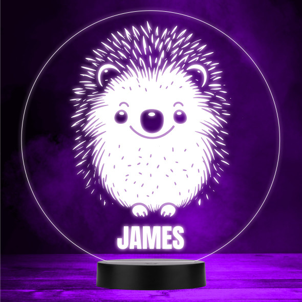 Happy Cute Hedgehog Colour Changing Led Lamp Personalised Gift Night Light