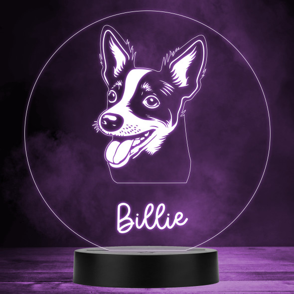Rat Terriers Dog Pet Multicolour Personalised Gift LED Lamp Night Light