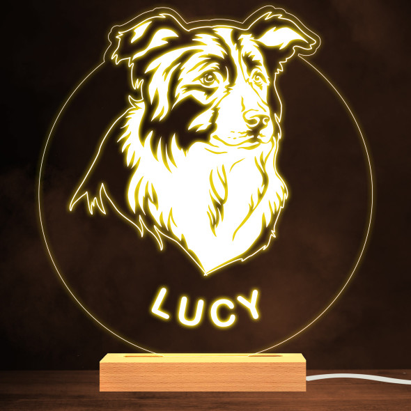 Border Collie Dog Pet Silhouette Warm White Lamp Personalised Gift Night Light