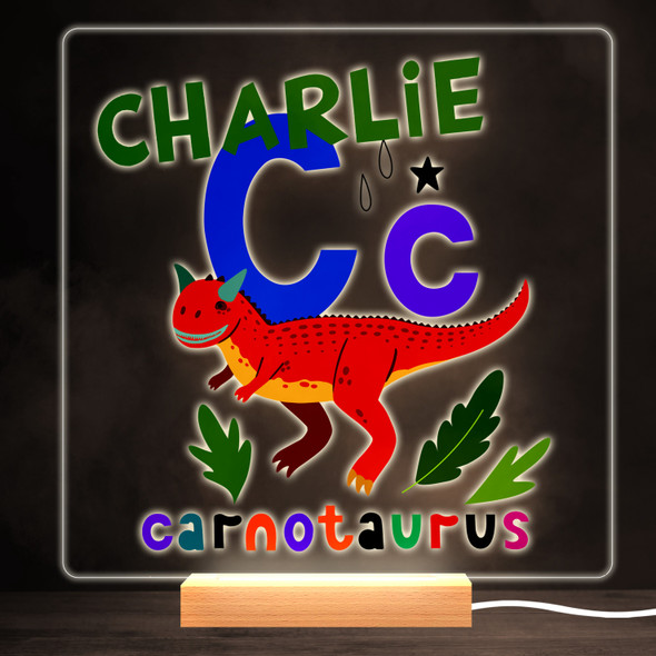 C Dinosaur Alphabet Colourful Square Personalised Gift LED Lamp Night Light