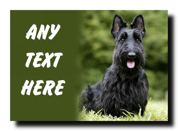 Scottish Terrier Dog Personalised Jumbo Magnet