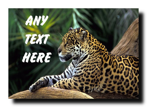 Jaguar Personalised Jumbo Magnet