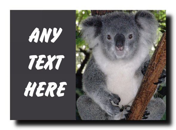 Koala Personalised Jumbo Magnet