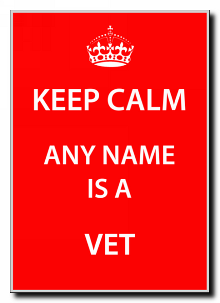 Vet Personalised Keep Calm Jumbo Magnet