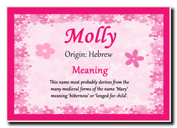 Molly Personalised Name Meaning Jumbo Magnet