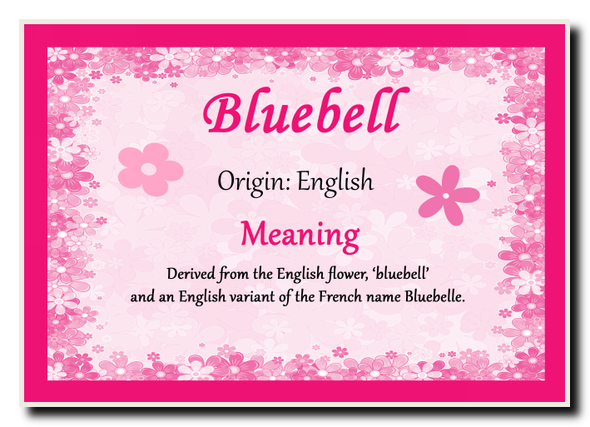 Bluebell Personalised Name Meaning Jumbo Magnet