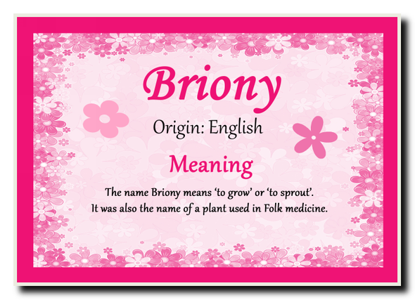 Briony Personalised Name Meaning Jumbo Magnet