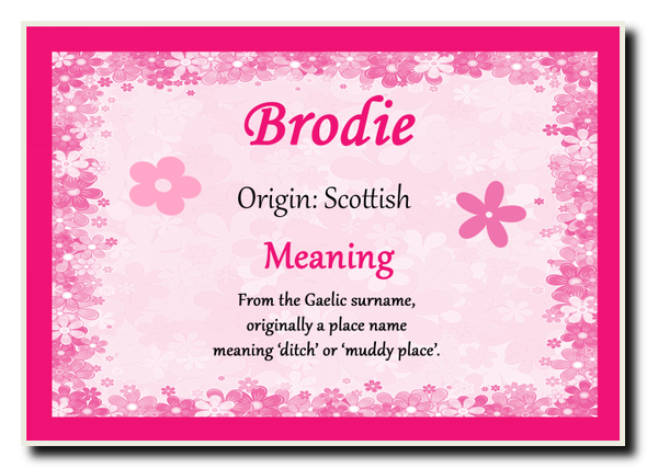 Brodie Personalised Name Meaning Jumbo Magnet