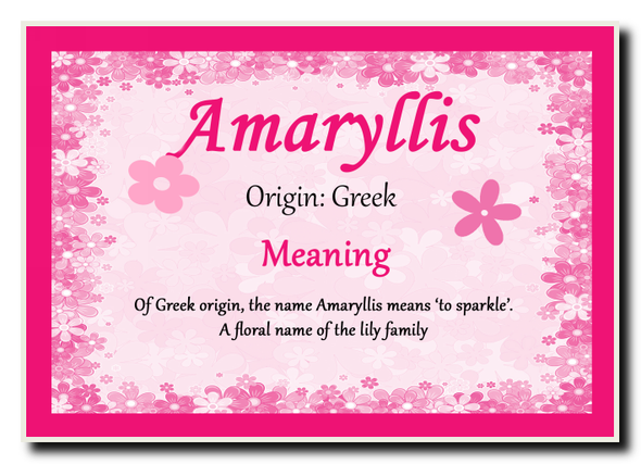 Amaryllis Personalised Name Meaning Jumbo Magnet