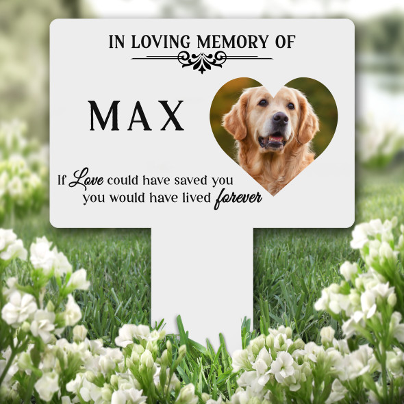 Heart Photo Frame Pet Remembrance Garden Plaque Grave Marker Memorial Stake
