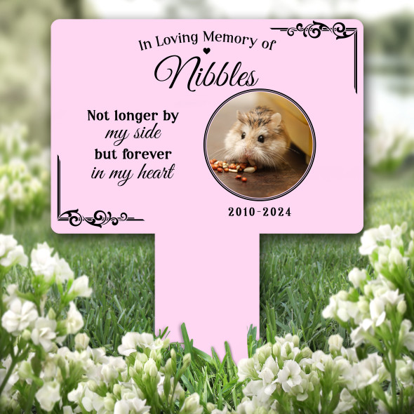 Forever In My Heart Any Pet Photo Pet Pink Grave Garden Plaque Memorial Stake