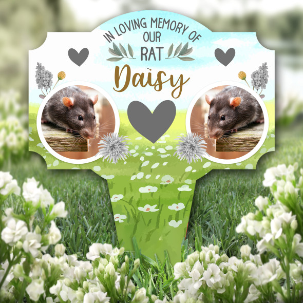 Loving Memory Our Rat Pet Photo Remembrance Grave Garden Plaque Memorial Stake