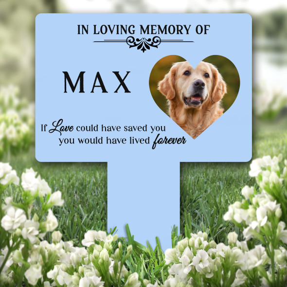 Heart Photo Frame Pet Blue Remembrance Garden Plaque Grave Marker Memorial Stake