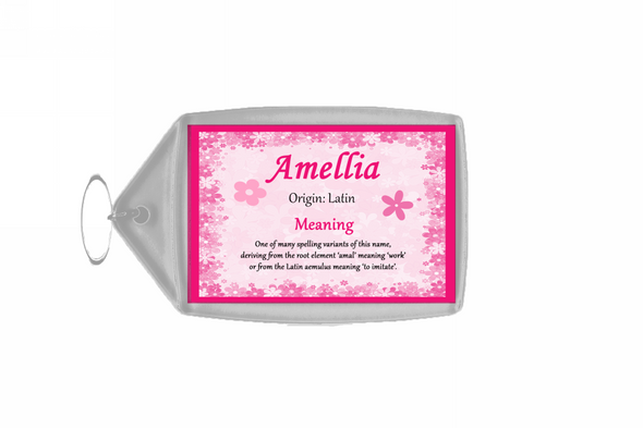 Amellia Personalised Name Meaning Keyring